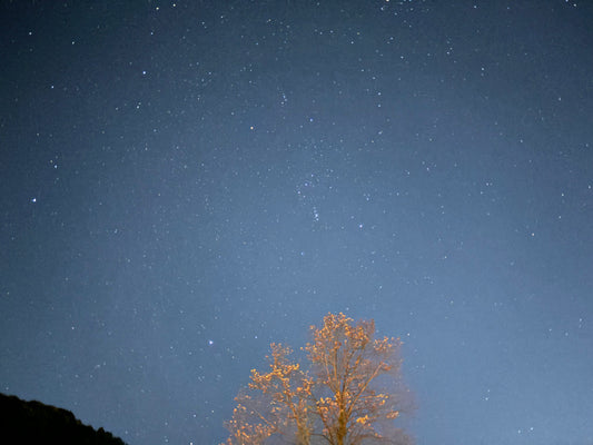 未来を信じるための、星という道標